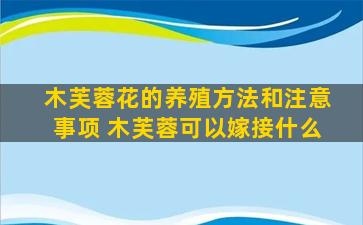 木芙蓉花的养殖方法和注意事项 木芙蓉可以嫁接什么